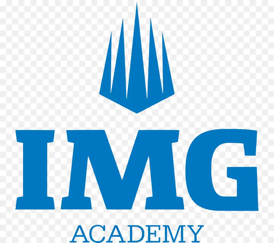 IMG